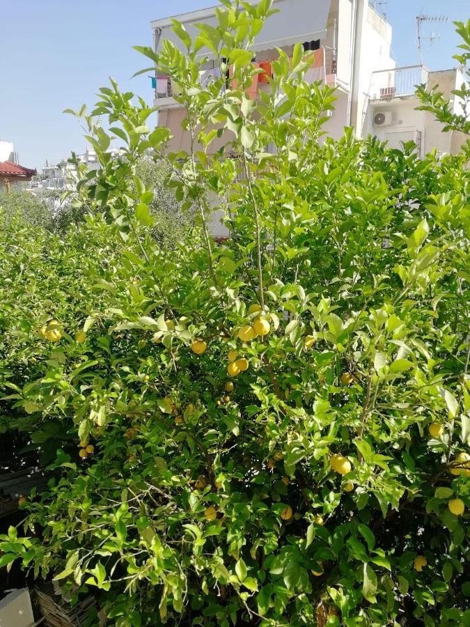 아테네 Lemontree 아파트 외부 사진